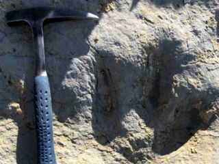 neuigkeiten-2019-10-26_dinospuren-im-unterengadin_2©maykwendt