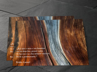 shop-karten-10_©maykwendt