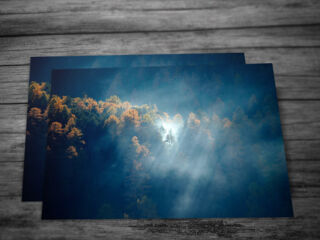 shop-karten-3_©maykwendt