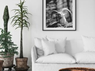 shop-fineart-20_©maykwendt