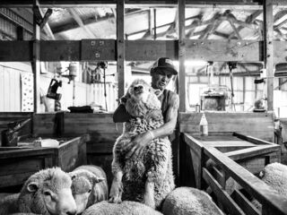 angebot-reportagen-1_©maykwendt