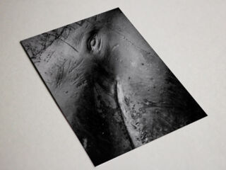 shop-karten-17_©maykwendt