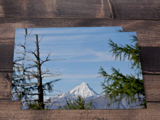 shop-karten-7_©maykwendt