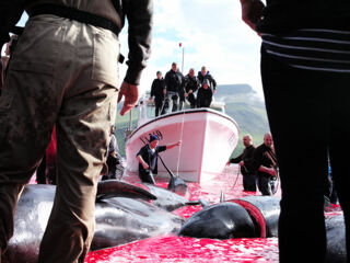 angebot-reportagen-10_©maykwendt